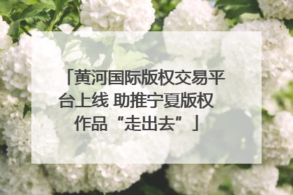 黄河国际版权交易平台上线 助推宁夏版权作品“走出去”