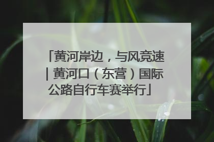 黄河岸边，与风竞速｜黄河口（东营）国际公路自行车赛举行