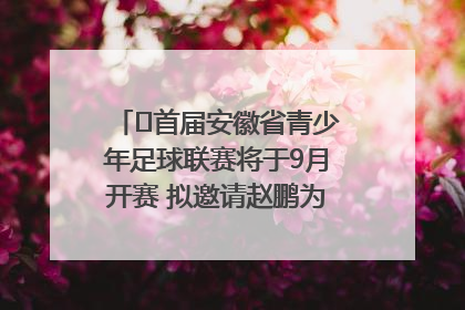 ﻿首届安徽省青少年足球联赛将于9月开赛 拟邀请赵鹏为先导赛开球