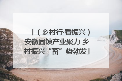 （乡村行·看振兴）安徽固镇产业聚力 乡村振兴“畜”势勃发