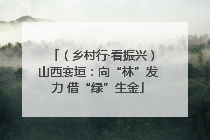 （乡村行·看振兴）山西襄垣：向“林”发力 借“绿”生金
