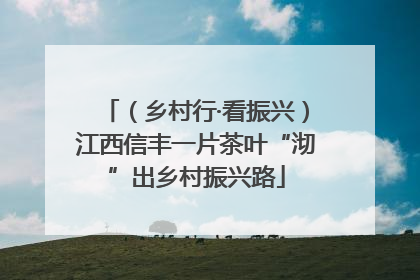 （乡村行·看振兴）江西信丰一片茶叶“沏”出乡村振兴路