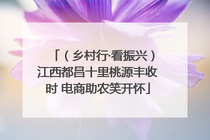 （乡村行·看振兴）江西都昌十里桃源丰收时 电商助农笑开怀