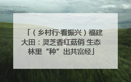 （乡村行·看振兴）福建大田：灵芝香红菇俏 生态林里“种”出共富经