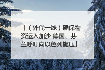 （外代一线）确保物资运入加沙 德国、芬兰呼吁向以色列施压