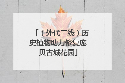 （外代二线）历史植物助力修复庞贝古城花园