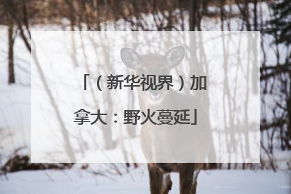 （新华视界）加拿大：野火蔓延