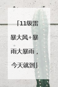 11级雷暴大风+暴雨大暴雨，今天就到