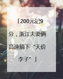 200元记9分，浙江夫妻俩高速摘下“天价李子”