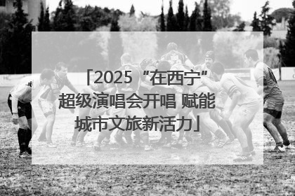 2025“在西宁”超级演唱会开唱 赋能城市文旅新活力