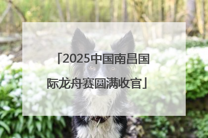 2025中国南昌国际龙舟赛圆满收官