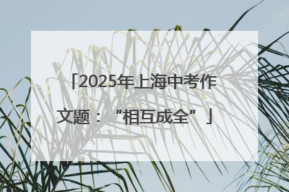 2025年上海中考作文题：“相互成全”