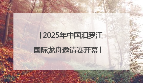2025年中国汨罗江国际龙舟邀请赛开幕