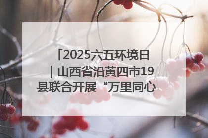2025六五环境日｜山西省沿黄四市19县联合开展“万里同心，共护黄河”环保志愿者助力一泓清水入黄河公益活动