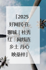 2025好网民·在聊城｜杜秀红：网线连乡土 丹心映桑梓