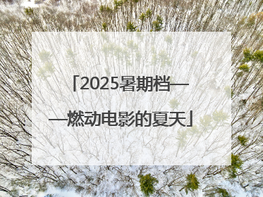 2025暑期档——燃动电影的夏天