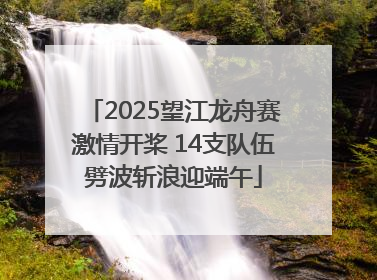 2025望江龙舟赛激情开桨 14支队伍劈波斩浪迎端午