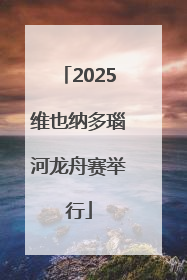 2025维也纳多瑙河龙舟赛举行