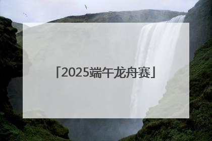 2025端午龙舟赛