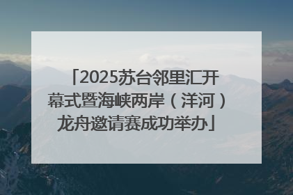 2025苏台邻里汇开幕式暨海峡两岸（洋河）龙舟邀请赛成功举办