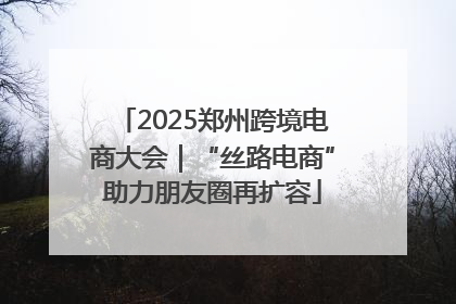 2025郑州跨境电商大会｜“丝路电商”助力朋友圈再扩容