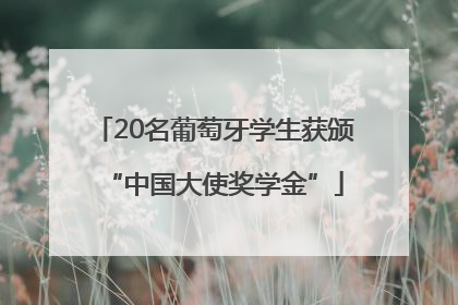 20名葡萄牙学生获颁“中国大使奖学金”