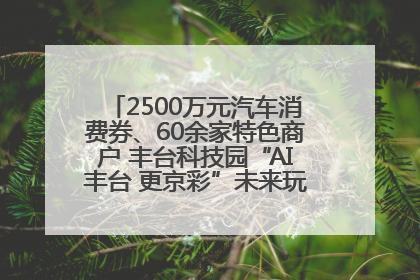 2500万元汽车消费券、60余家特色商户 丰台科技园“AI丰台 更京彩”未来玩家市集活动正式开幕