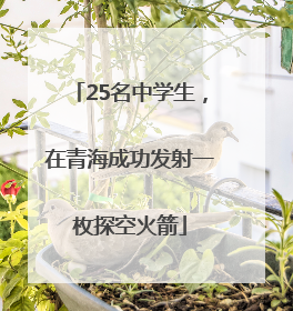 25名中学生，在青海成功发射一枚探空火箭