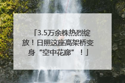 3.5万余株热烈绽放！日照这座高架桥变身“空中花廊”！