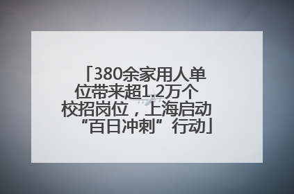 380余家用人单位带来超1.2万个校招岗位，上海启动“百日冲刺”行动
