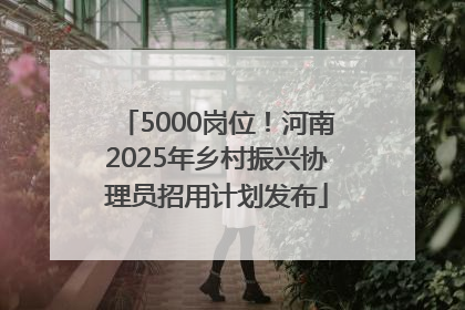 5000岗位！河南2025年乡村振兴协理员招用计划发布