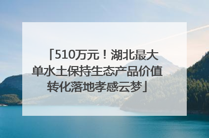 510万元！湖北最大单水土保持生态产品价值转化落地孝感云梦