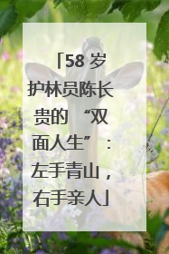 58 岁护林员陈长贵的 “双面人生”：左手青山，右手亲人
