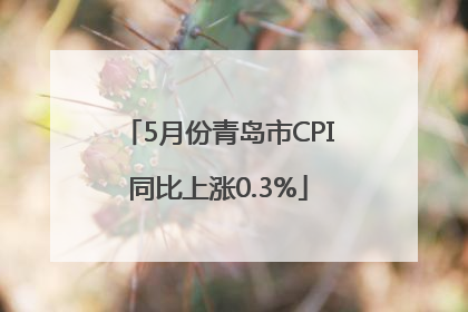 5月份青岛市CPI同比上涨0.3%