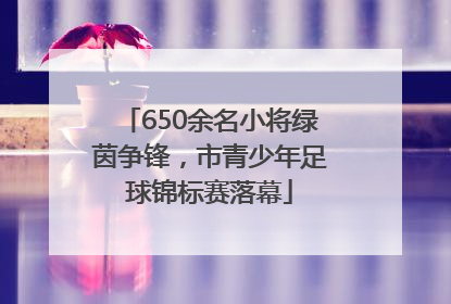 650余名小将绿茵争锋，市青少年足球锦标赛落幕