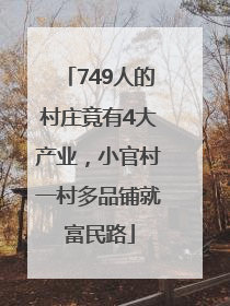 749人的村庄竟有4大产业，小官村一村多品铺就富民路