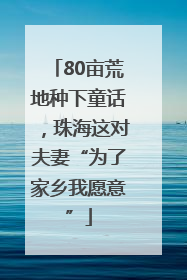 80亩荒地种下童话，珠海这对夫妻“为了家乡我愿意”