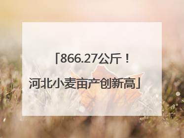 866.27公斤！河北小麦亩产创新高