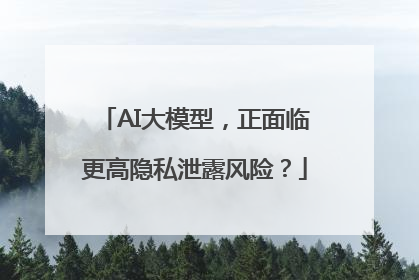 AI大模型，正面临更高隐私泄露风险？