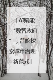 AI赋能“数智政府”，普陀探索城市治理新范式