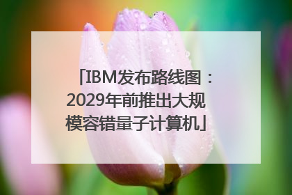 IBM发布路线图：2029年前推出大规模容错量子计算机