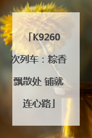K9260次列车：粽香飘散处 铺就连心路